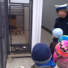 Zerówka u policjantów